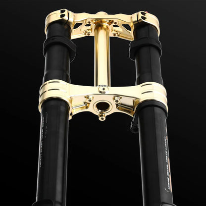 RFloXa Hawk31 Max (Gold) For Talaria/Surron/Segway/Eride/Rawrr/79bike/ventus & more
